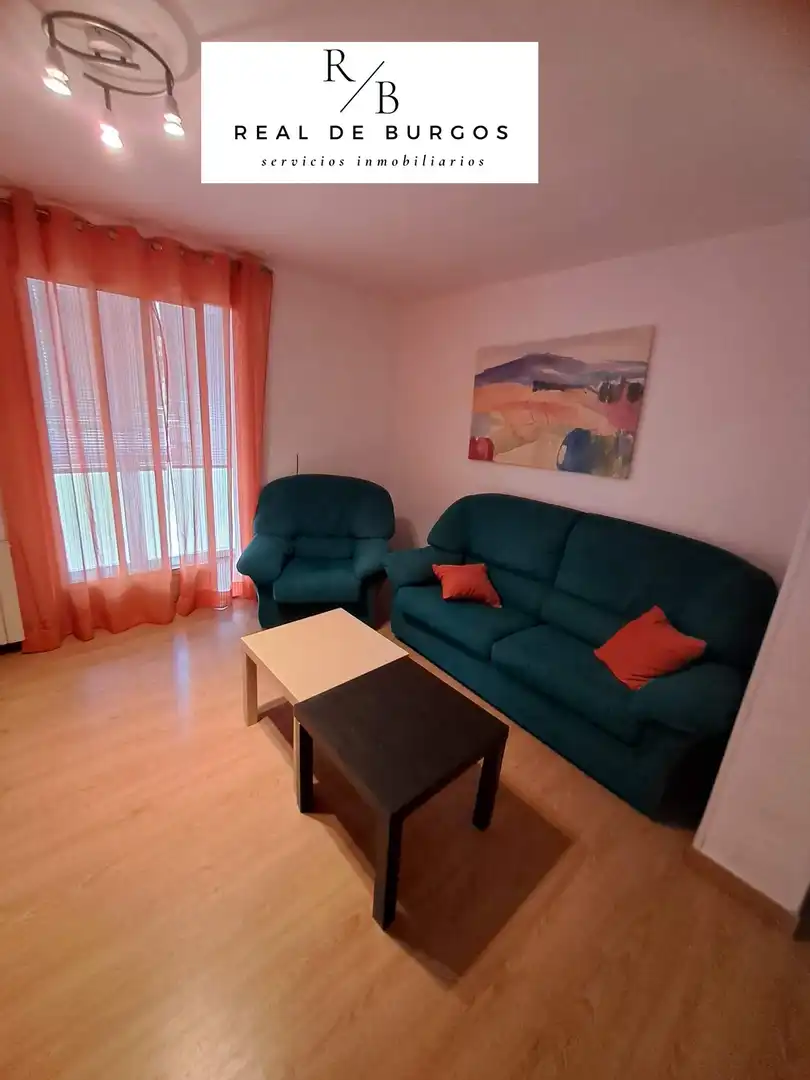 Living room of Flat for rent in Valladolid  with Heating, Terrace and Furnished