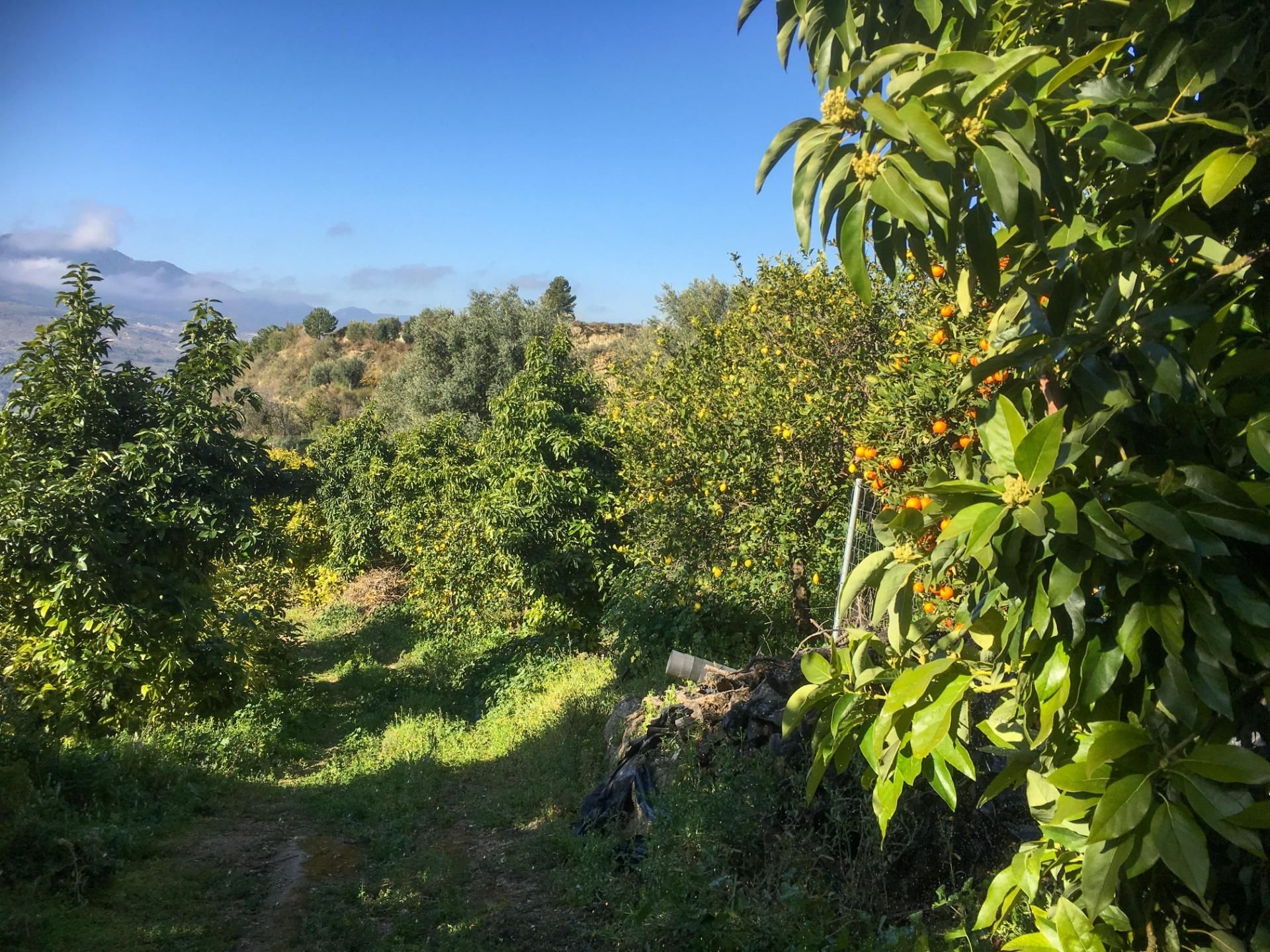 Country house for sale in Lecrín