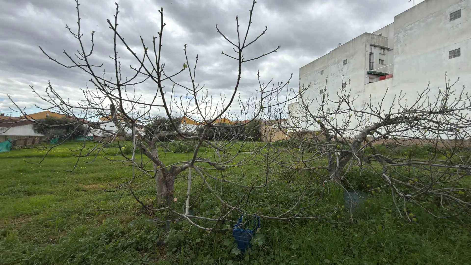 Residencial en venda en El Cerro de Andévalo