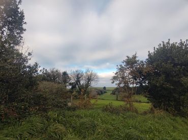 Terrenos y solares en venta en Polígono 4 Parcela 520 CP LA MARINA TAPIA DE CAS