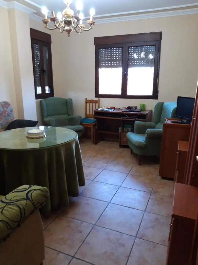 Sala d'estar de Casa o xalet en venda en Linares amb Aire condicionat, Calefacció i Jardí privat