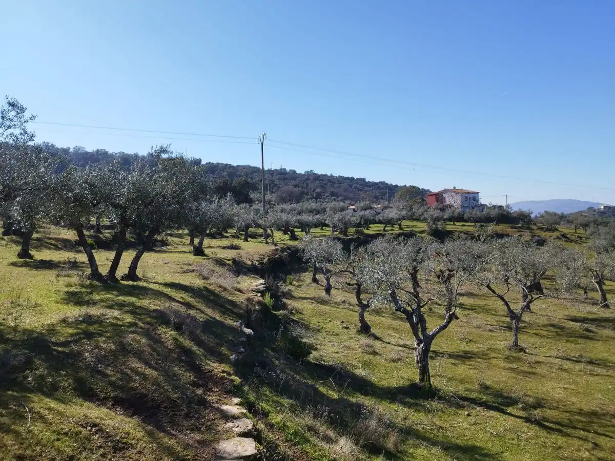 Finca rústica en venta en Plasencia con Terraza