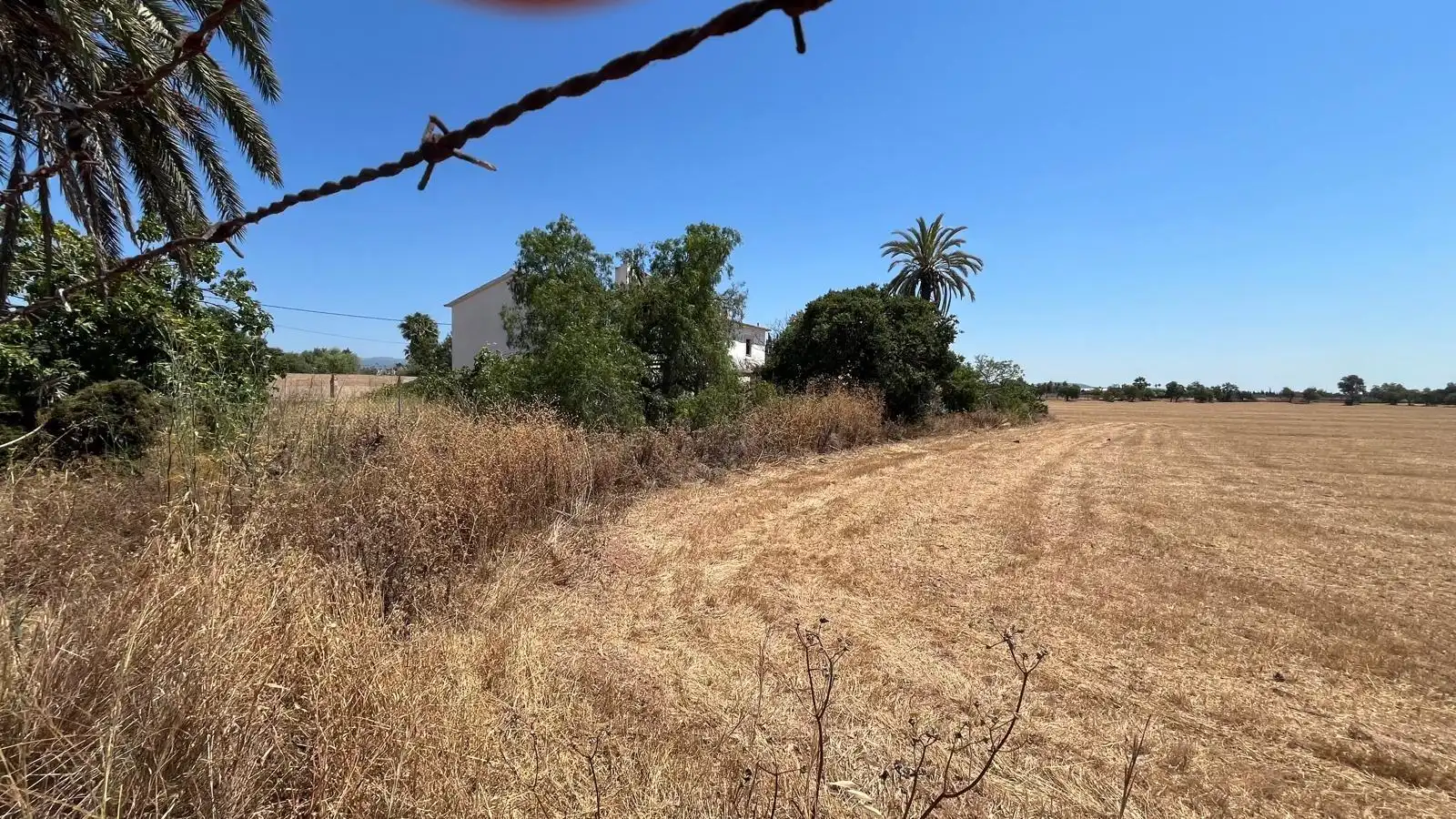 Landhaus mit Garten zum Verkauf in Platja de Palma, imagen 5