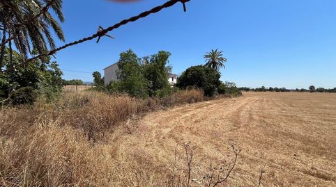 Foto 5 de Finca rústica en venta en El Coll d'en Rabassa, Palma de Mallorca