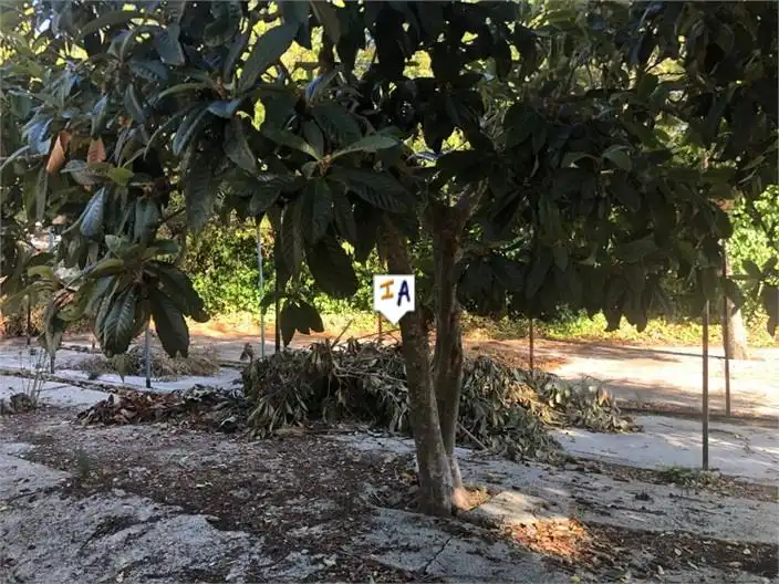 Casa rustica in vendita a Los Villares, imagen 13