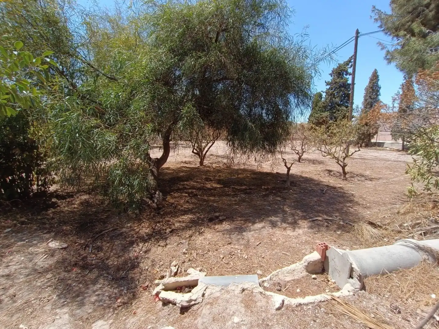 Residential for sale in Elche / Elx