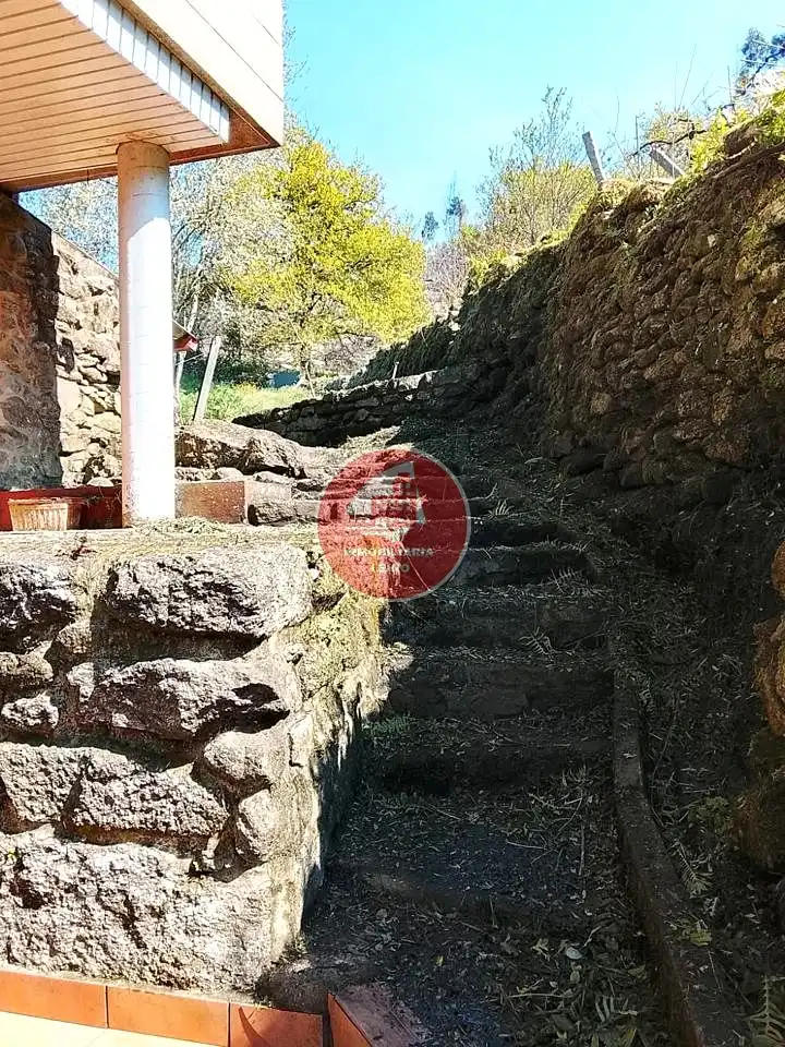 Maison à vendre à Tenorio, imagen 19