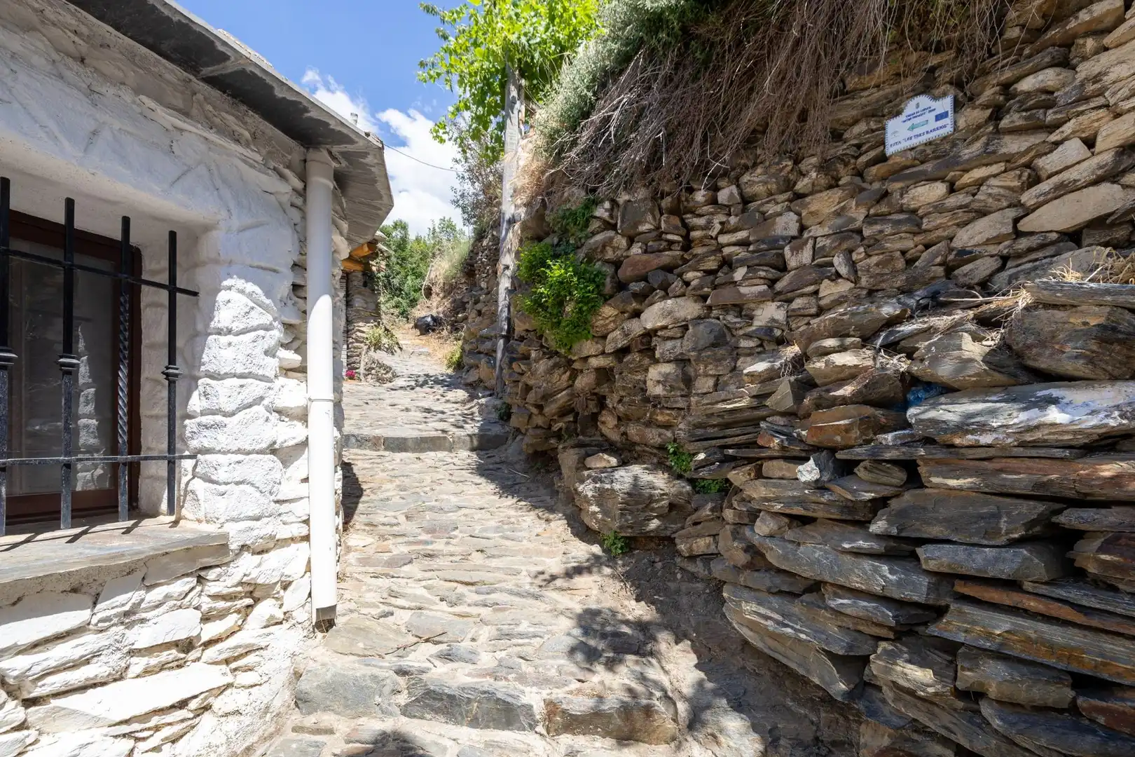 Vista exterior de Casa o chalet en venta en Trevélez con Amueblado
