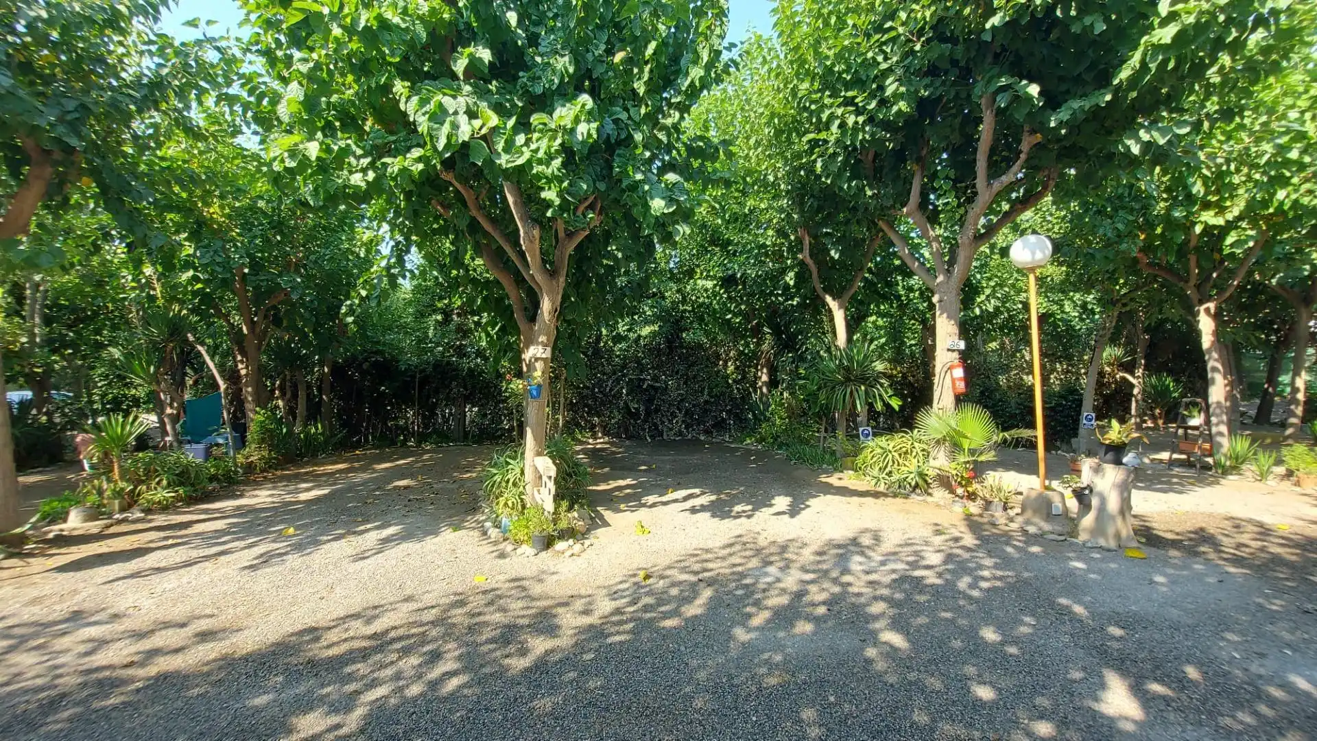 Jardí de Residencial en venda en Adra