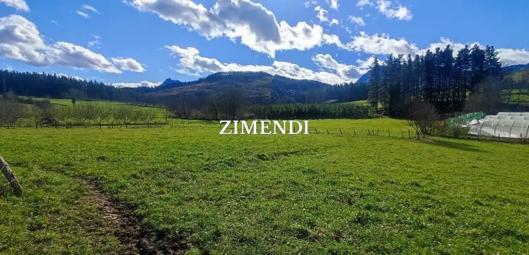 Terreno rustico in vendita a Abadiño, imagen 3