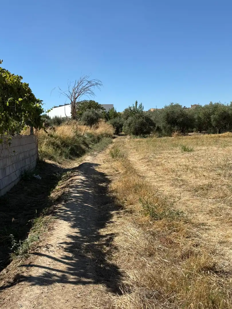 Rural land for sale in Villa de Otura, imagen 12