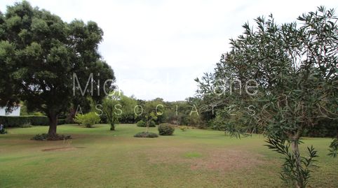 Parcela urbana en Sotogrande Alto