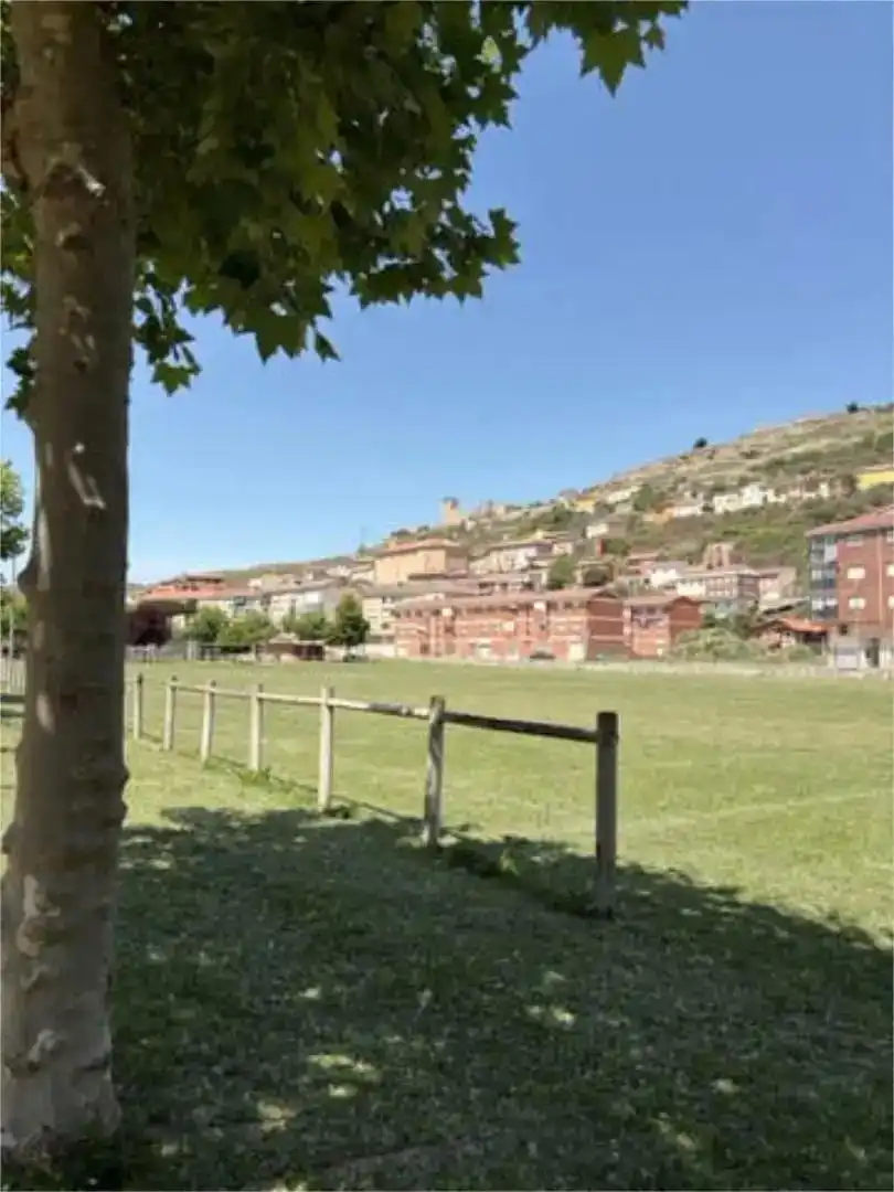 Vista exterior de Casa o xalet en venda en Cerezo de Río Tirón amb Traster i Moblat