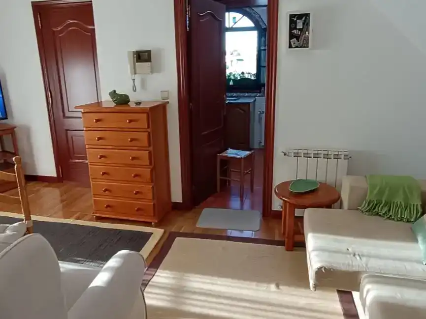 Sala d'estar de Pis de lloguer en Vigo  amb Parquet, Moblat i Forn