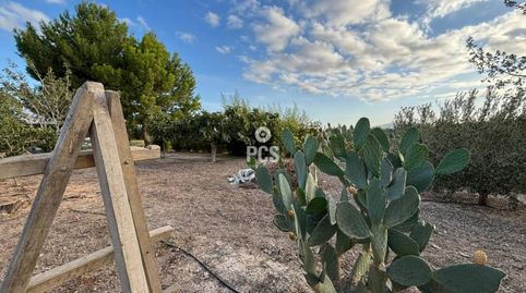 Photo 2 of Houses for sale in Calle Zona Piezas Viejas Totana, S/n, Totana, Murcia