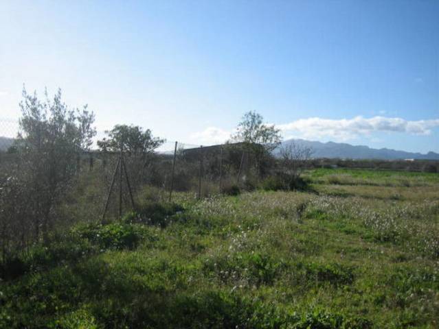 Terreno en Venta en COLOMES (LES) en Móra d'Ebre