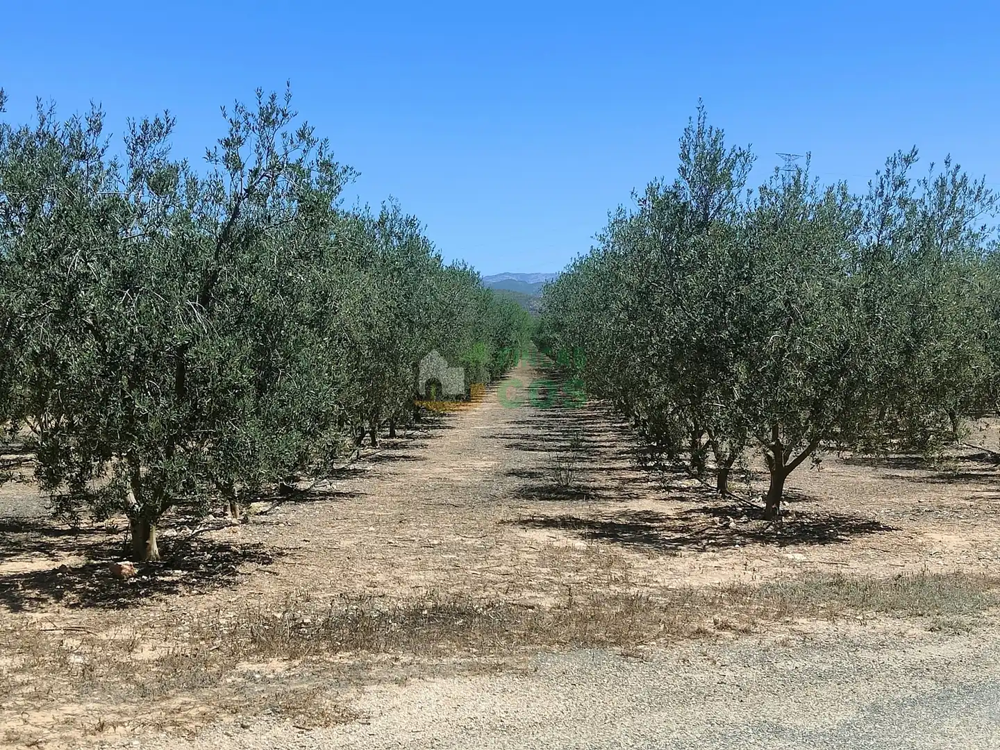 Land for sale in Garcia