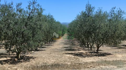 Photo 4 of Land for sale in Garcia, Tarragona