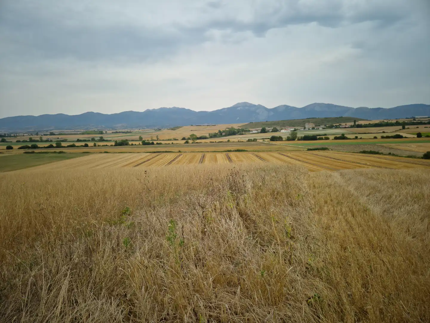 Terreny rústic en venda a San Millán / Donemiliaga, imagen 3