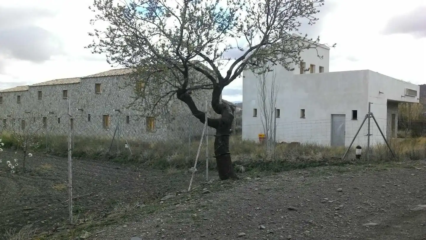 Buildings for sale in Dólar