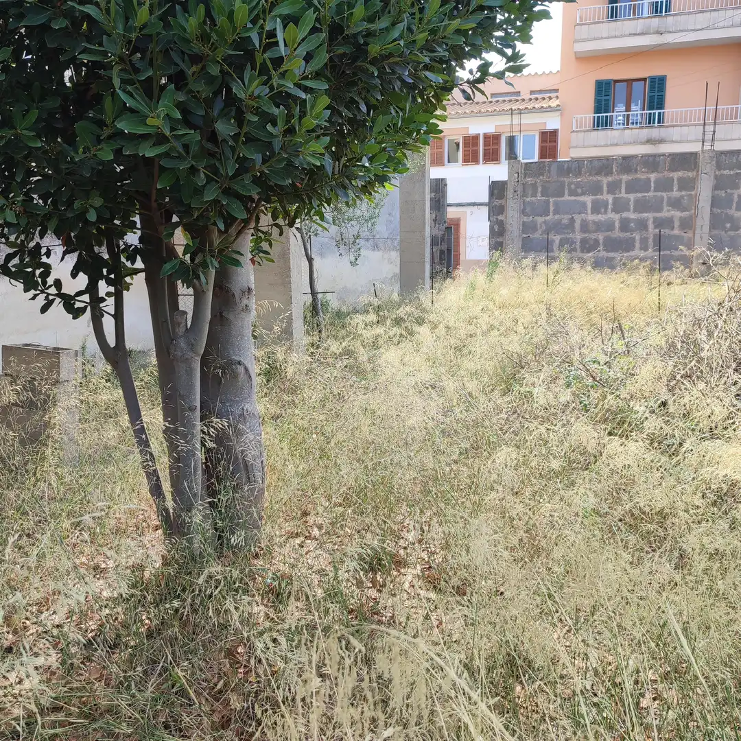 Terreny residencial en venda a Carrer de Bonany 8, imagen 8
