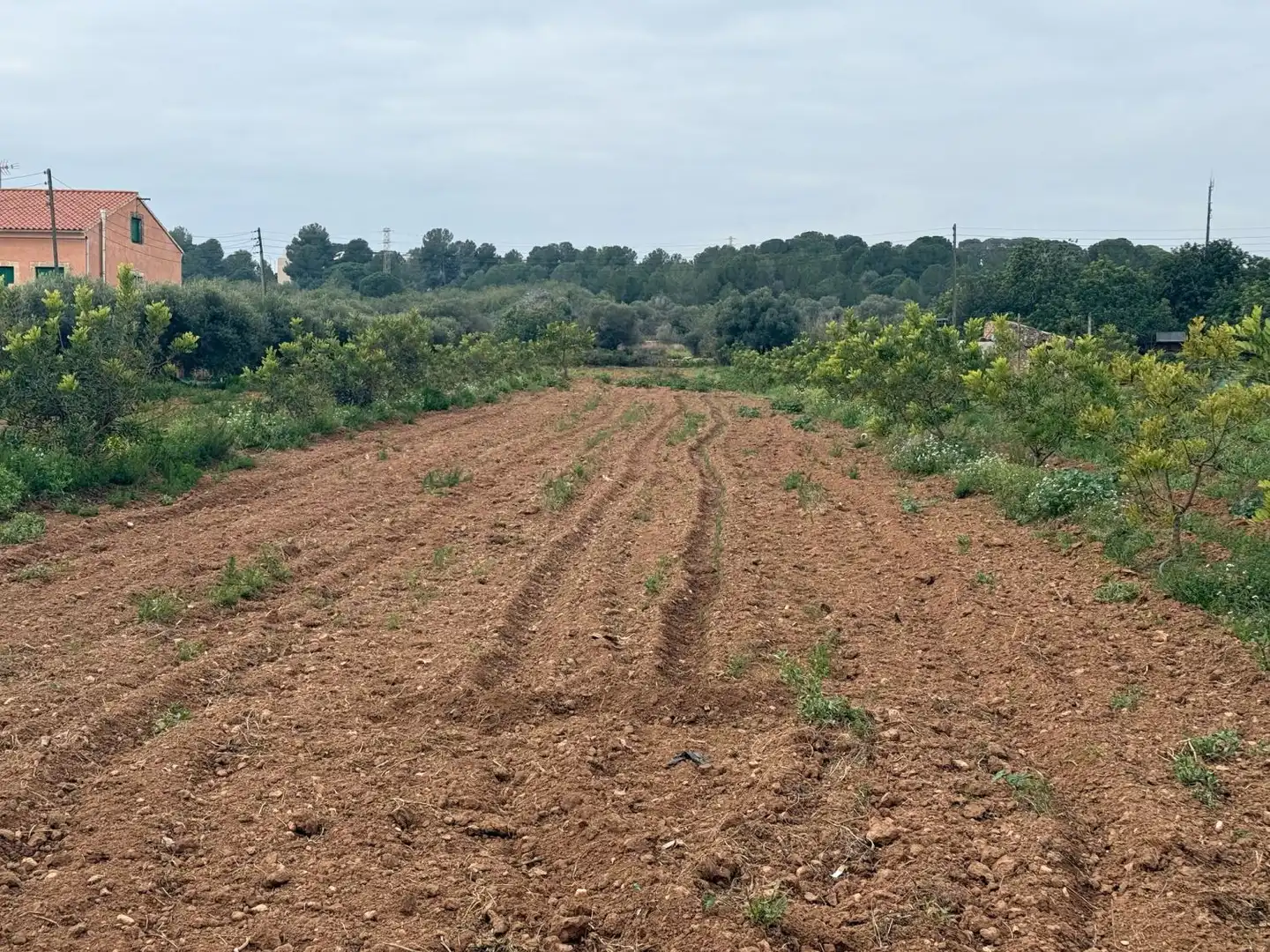 Finca rústica en venda a Altafulla