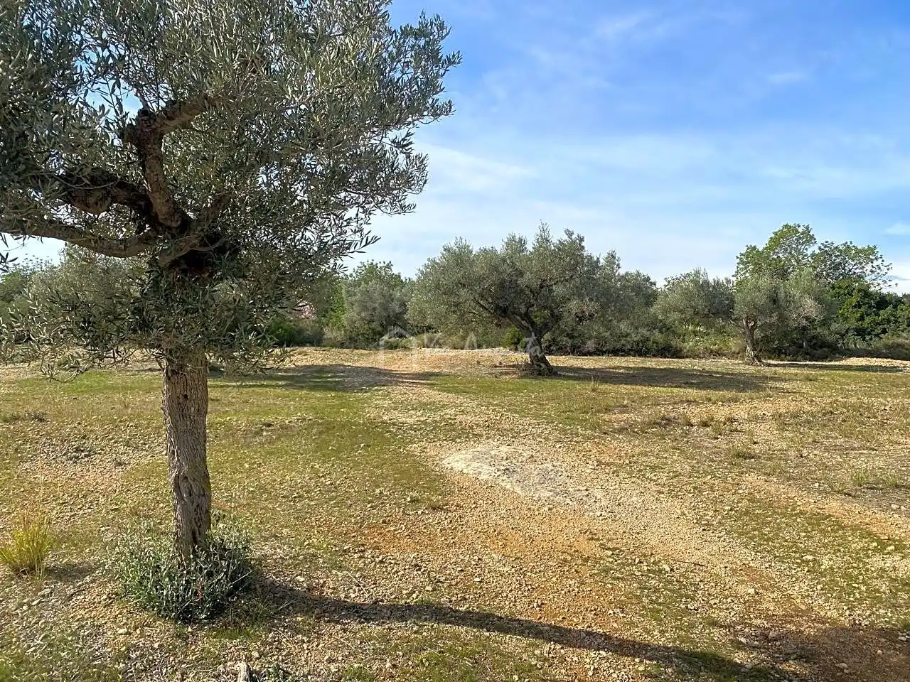 Terreno rustico in vendita a Planas, imagen 16