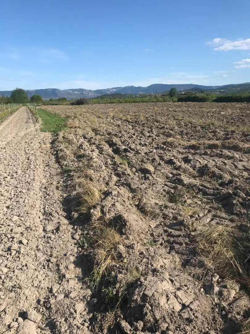 Rustikales Grundstück zum Verkauf in Navarrete, imagen 5