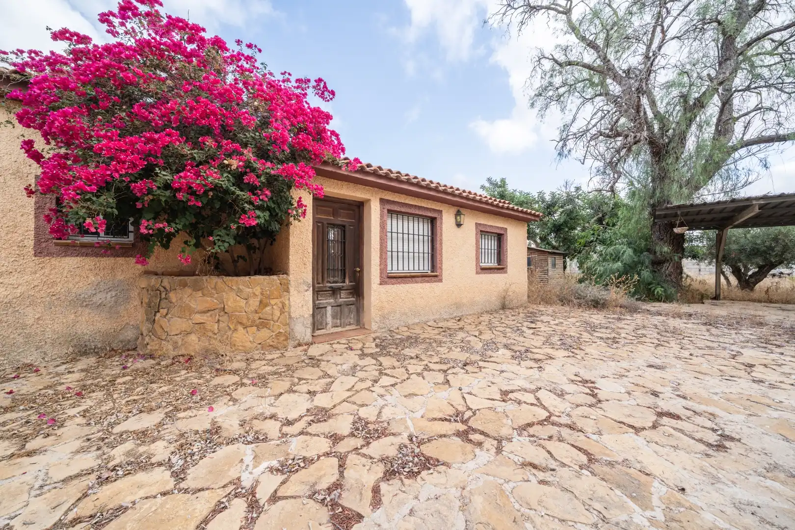 Vista exterior de Casa o xalet en venda en Cartagena amb Jardí privat, Traster i Piscina