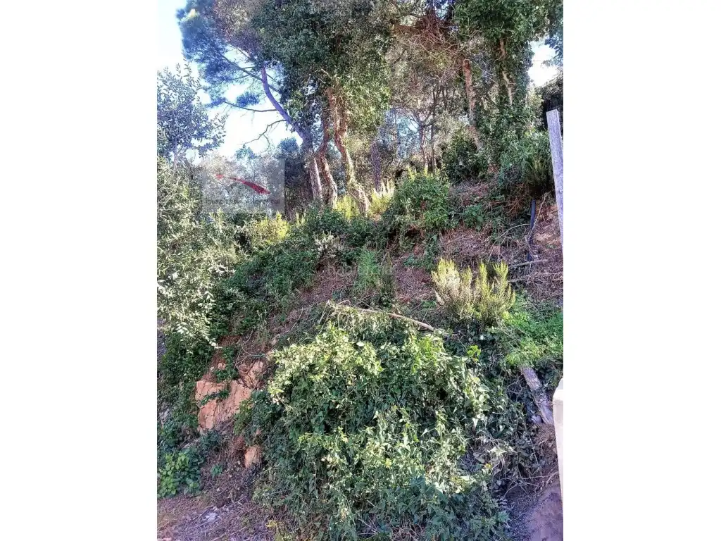 Residential land for sale in Carrer de les Falgueres 11, imagen 6