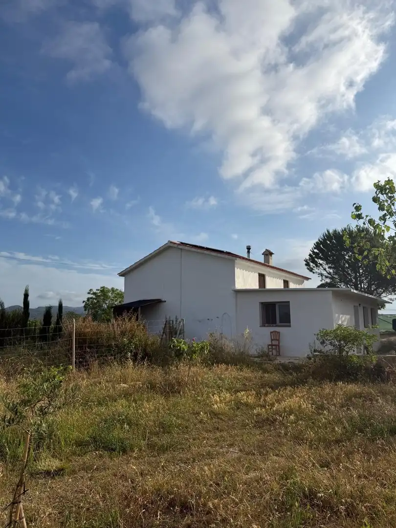 Vista exterior de Casa o xalet en venda en Amposta