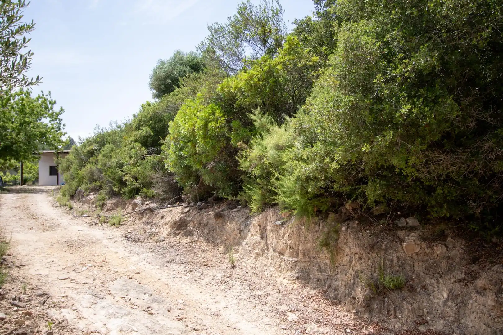 Finca rústica en venda en Benlloc amb Jardí privat, Terrassa i Traster