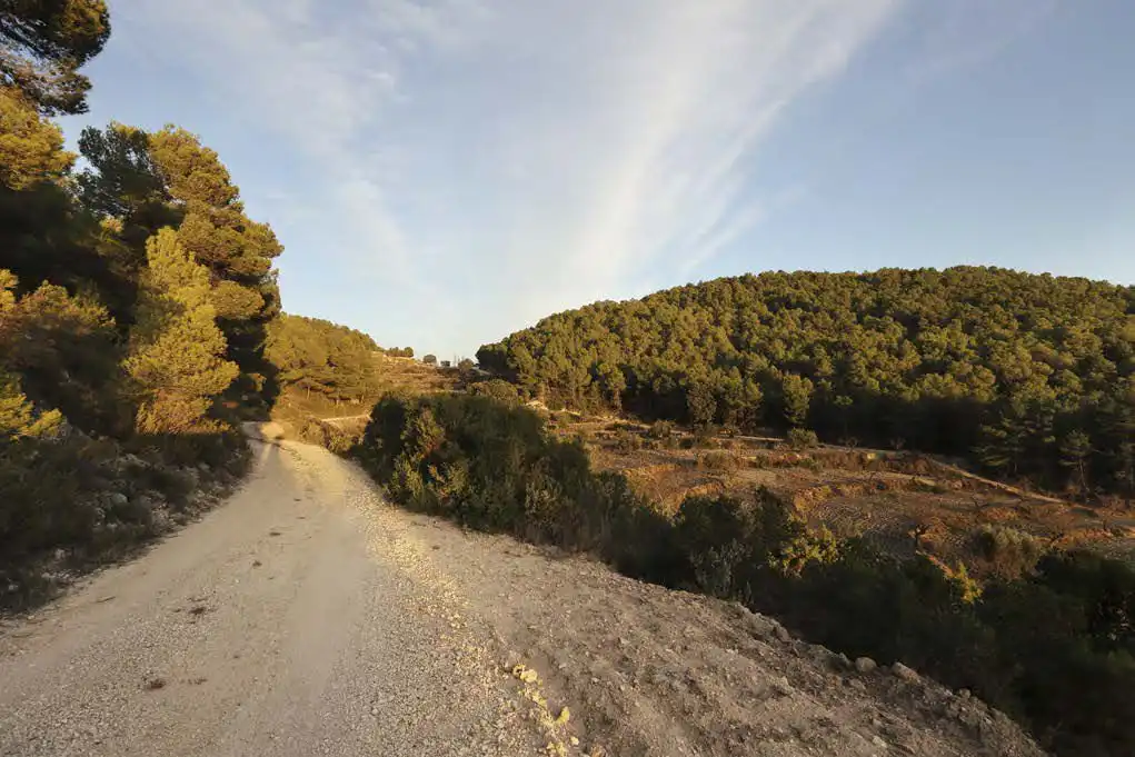Casa rústica en venta en Torremanzanas / La Torre de les Maçanes, imagen 20
