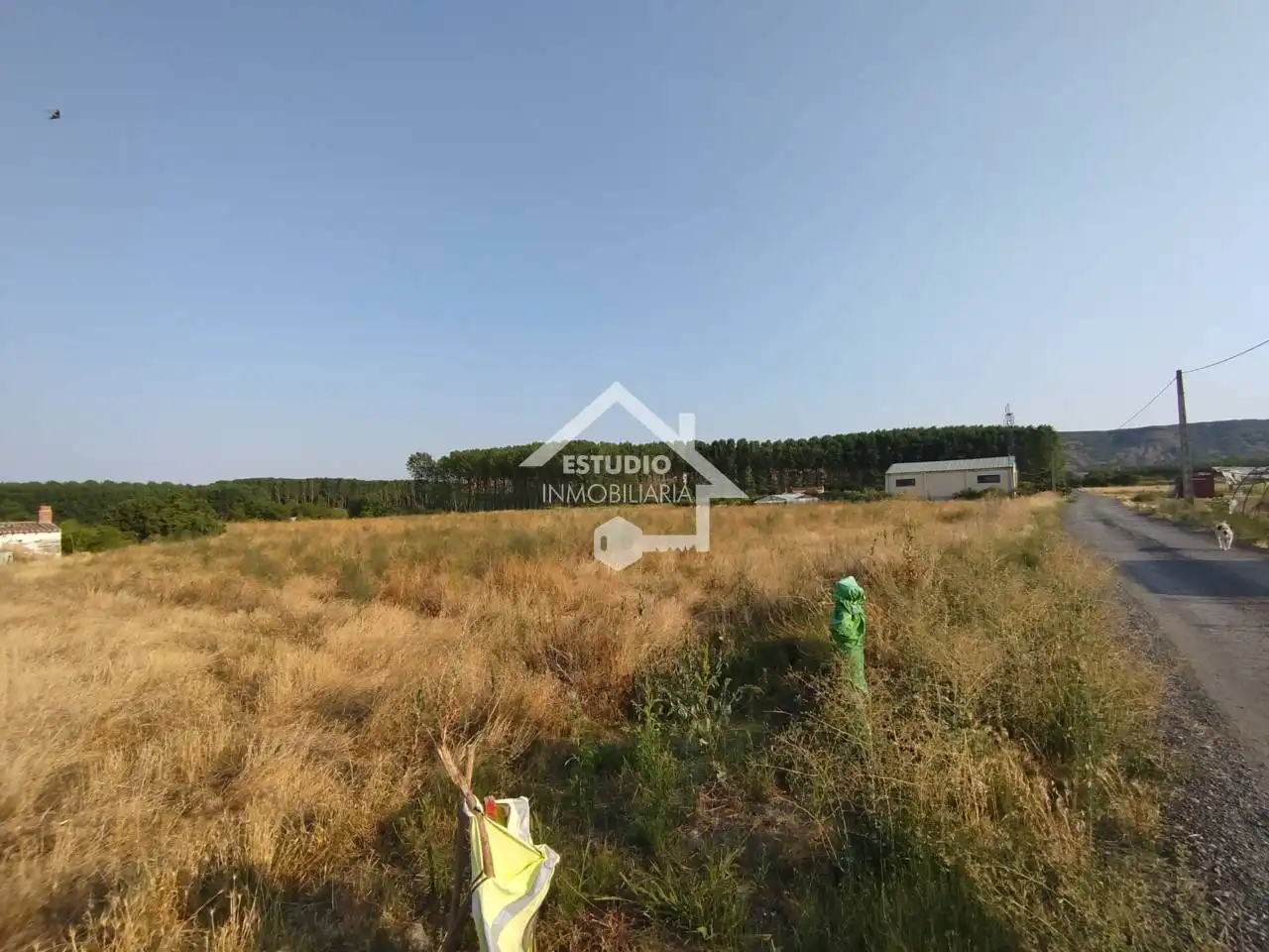 Rural land for sale in Viana, imagen 20