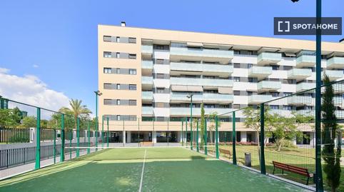 Photo 5 of Flat to share in El Cónsul - Ciudad Universitaria - El Romeral, Málaga Capital