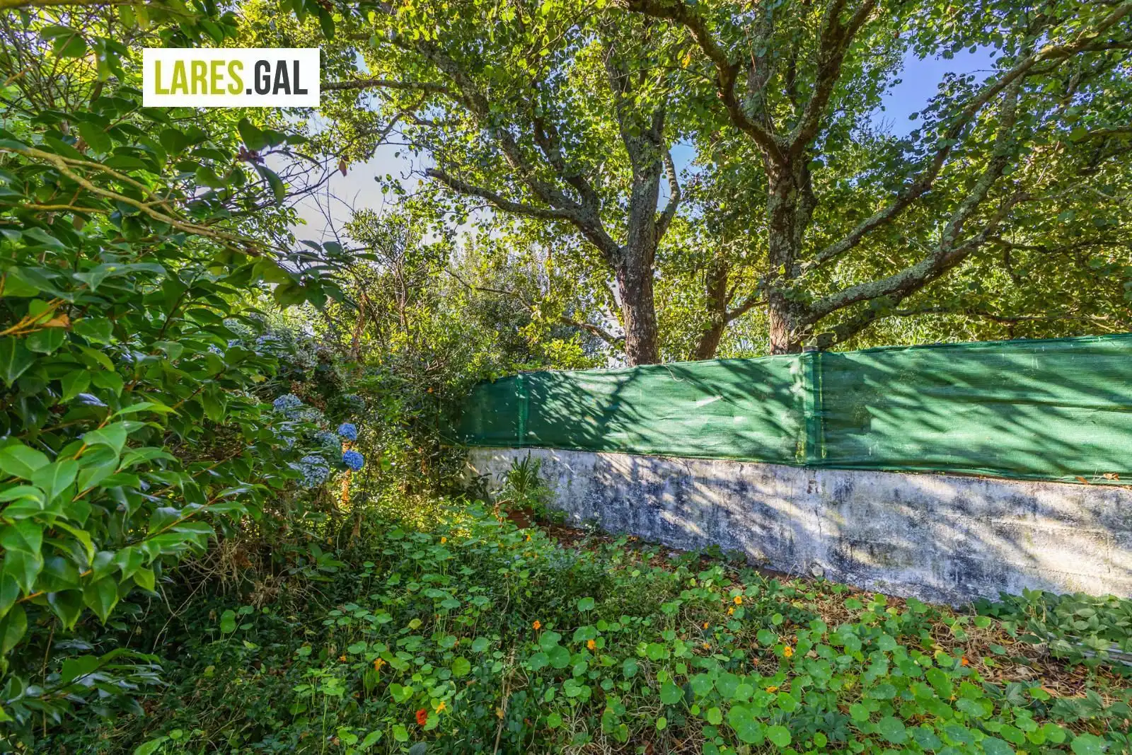Terreno rustico in vendita a Ourense, imagen 29