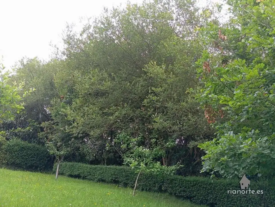 Terreni e lotti in vendita a Pillarno, imagen 6
