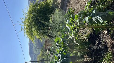Foto 4 de Finca rústica en venda a Lugar Ribadiña, A-pq Ferreira, 26, Riotorto, Lugo