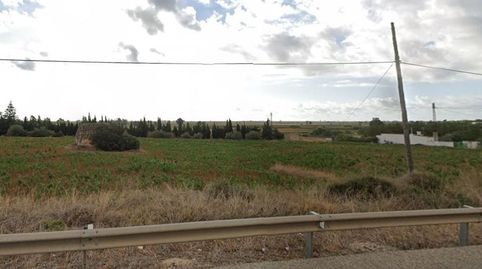 en Amposta