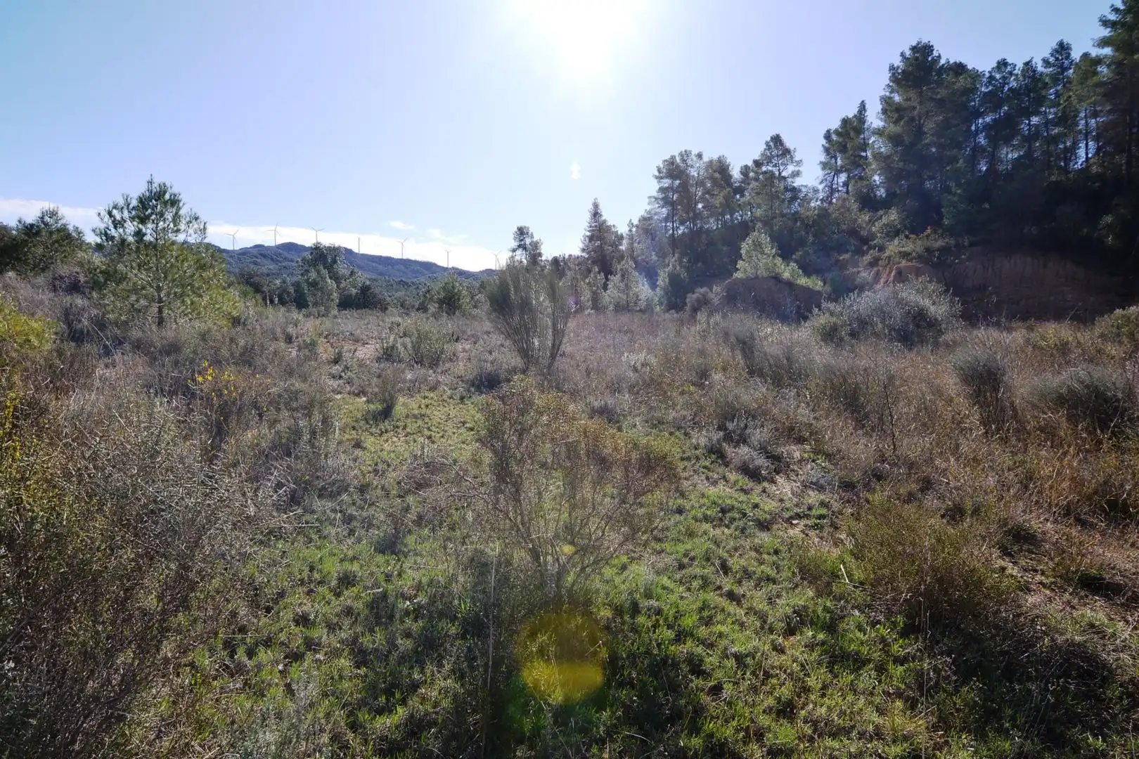 Rural land for sale in Ascó, imagen 36