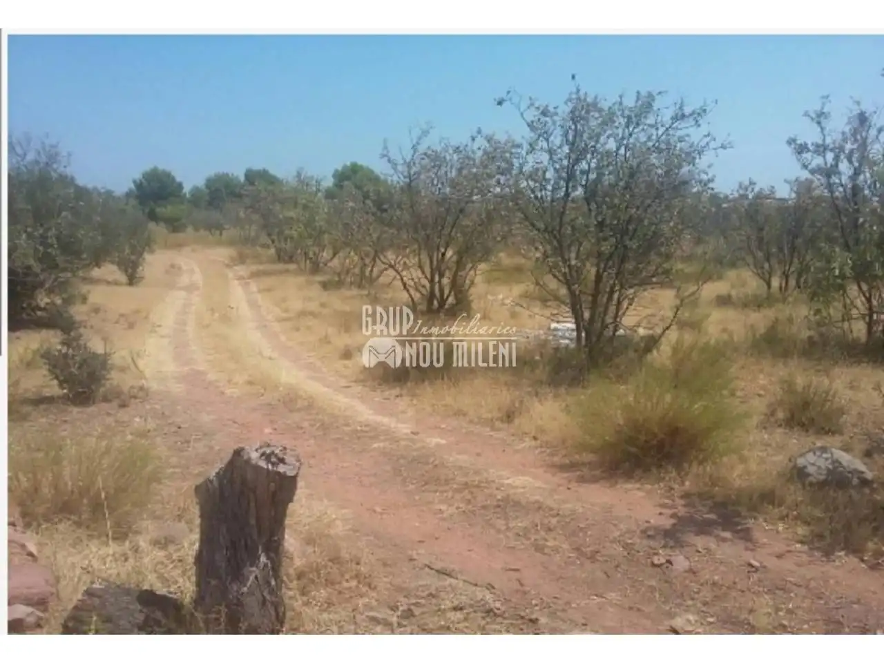 Terreno rustico in vendita a Calle  POLIGONO 7, imagen 2
