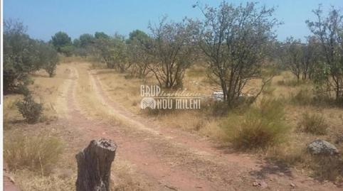 Photo 2 of Land for sale in  Poligono, 7, Benicasim Golf, Castellón