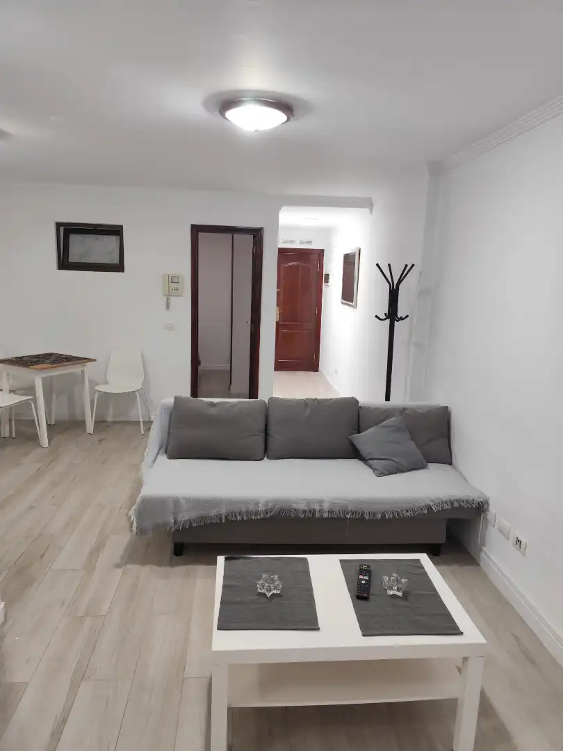 Sala de estar de Apartamento de alquiler en Las Palmas de Gran Canaria con Amueblado