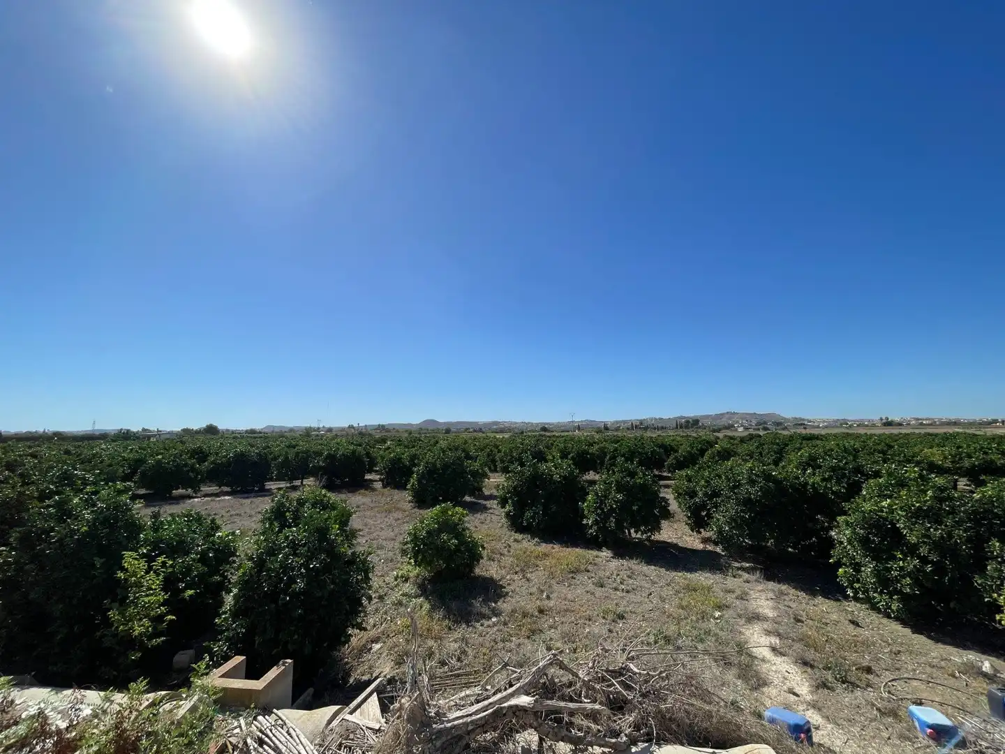 Finca rústica en venta en San Fulgencio