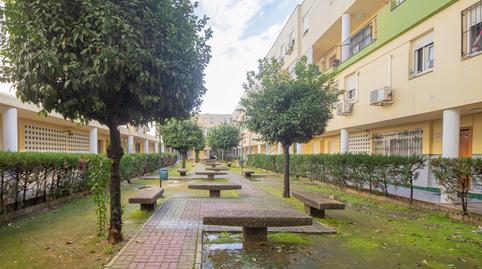 Foto 5 de Dúplex en venta en Calle Estrella Polar, Pino Montano - Consolación,  Sevilla Capital