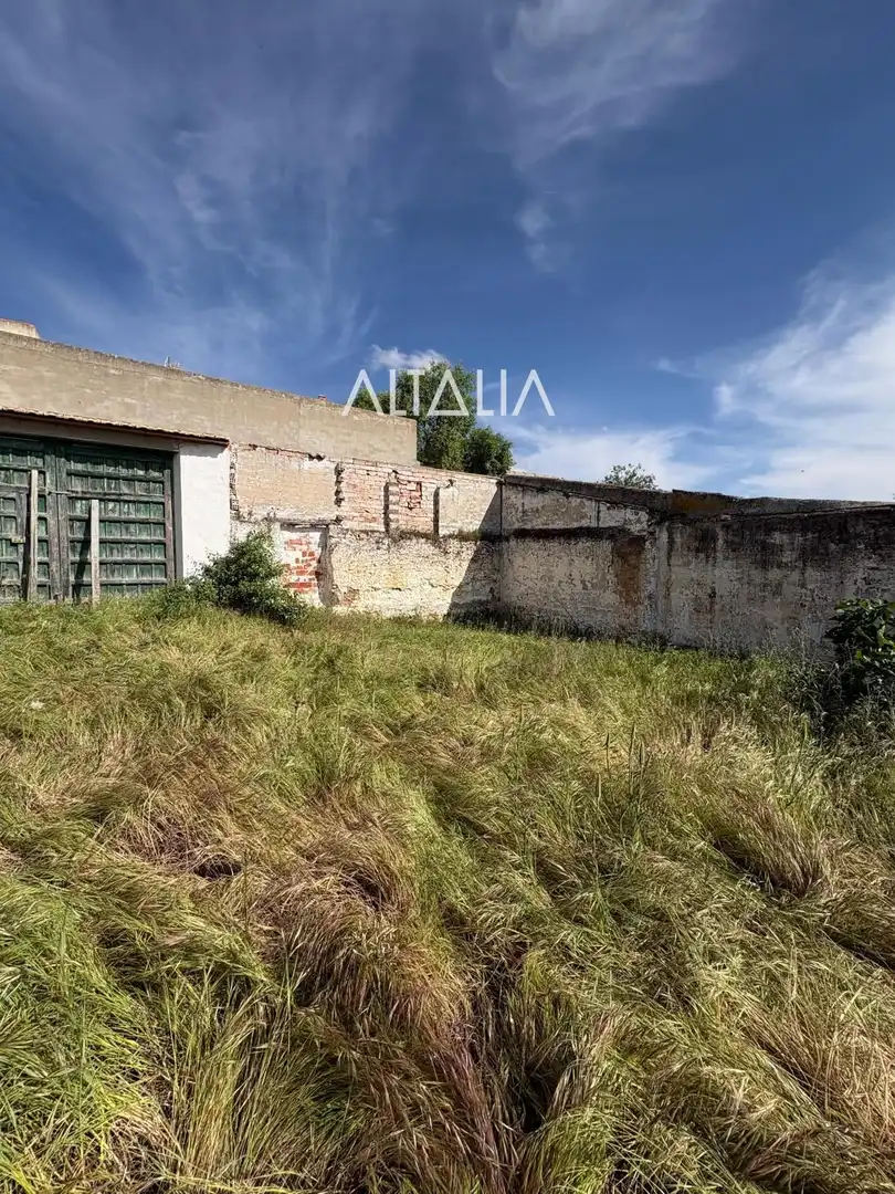Land for sale in Belmonte