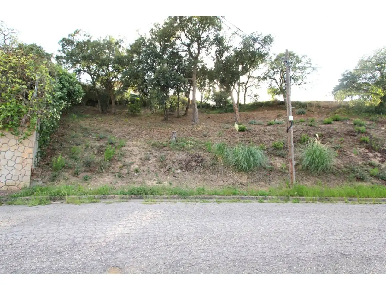 Terreno rustico in vendita a Calle Santa Marta 57