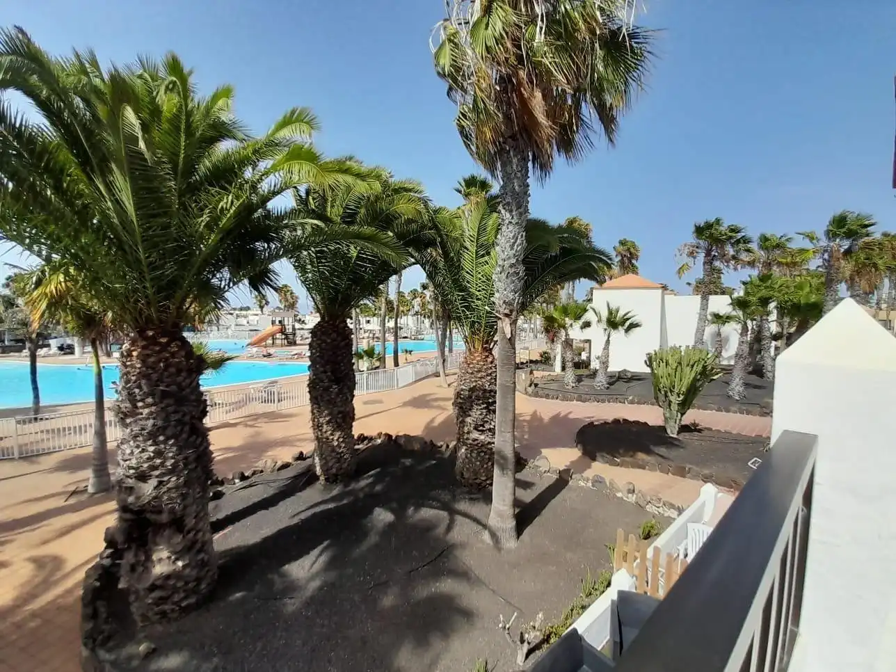 Apartament amb piscina en venda a Avenida FUERTEVENTURA