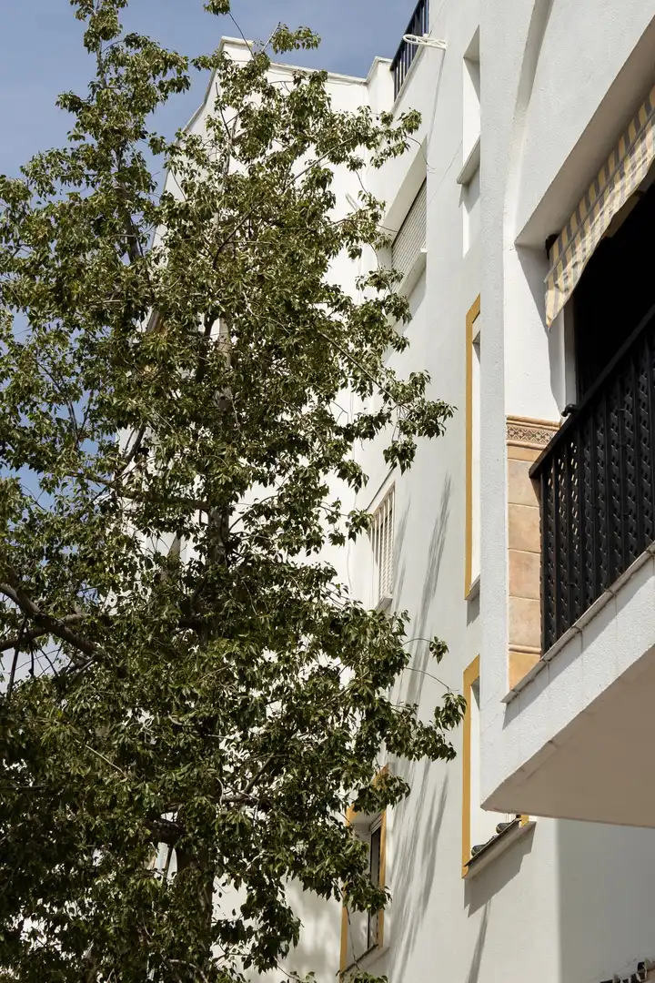 Local en venta en San Pedro de Alcántara pueblo