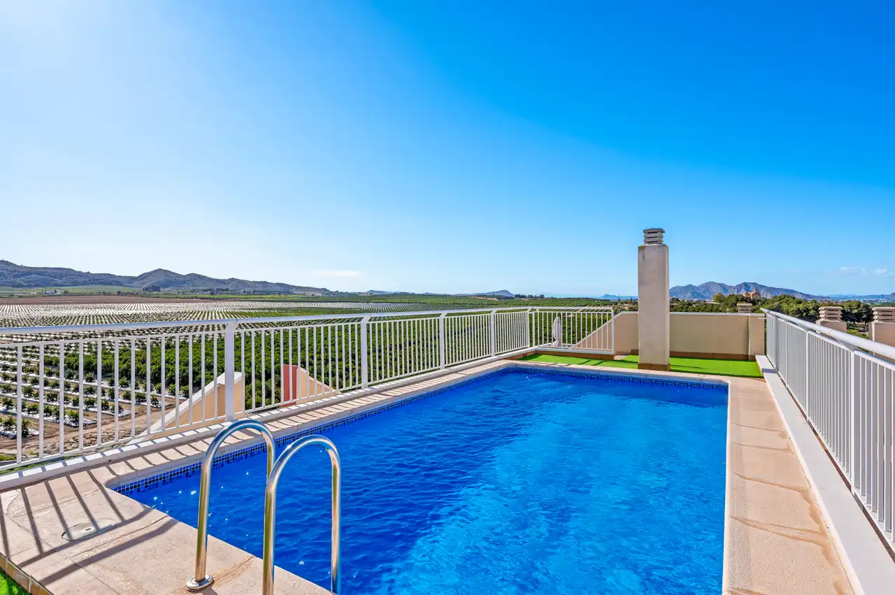 Swimming pool of Apartments for sale in Algorfa